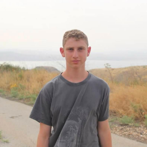 נעם שיינס